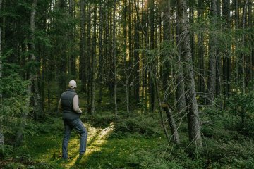 Тишина и перезагрузка