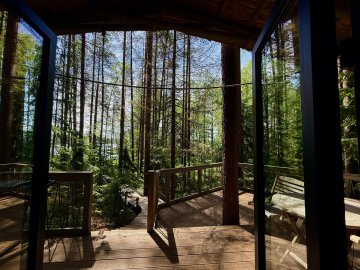 Lodge with Lake view