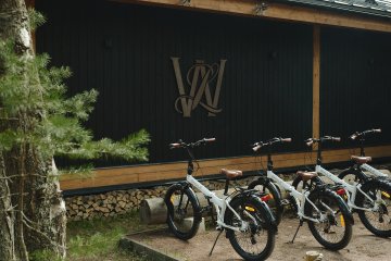 Exploring the forest on bicycles